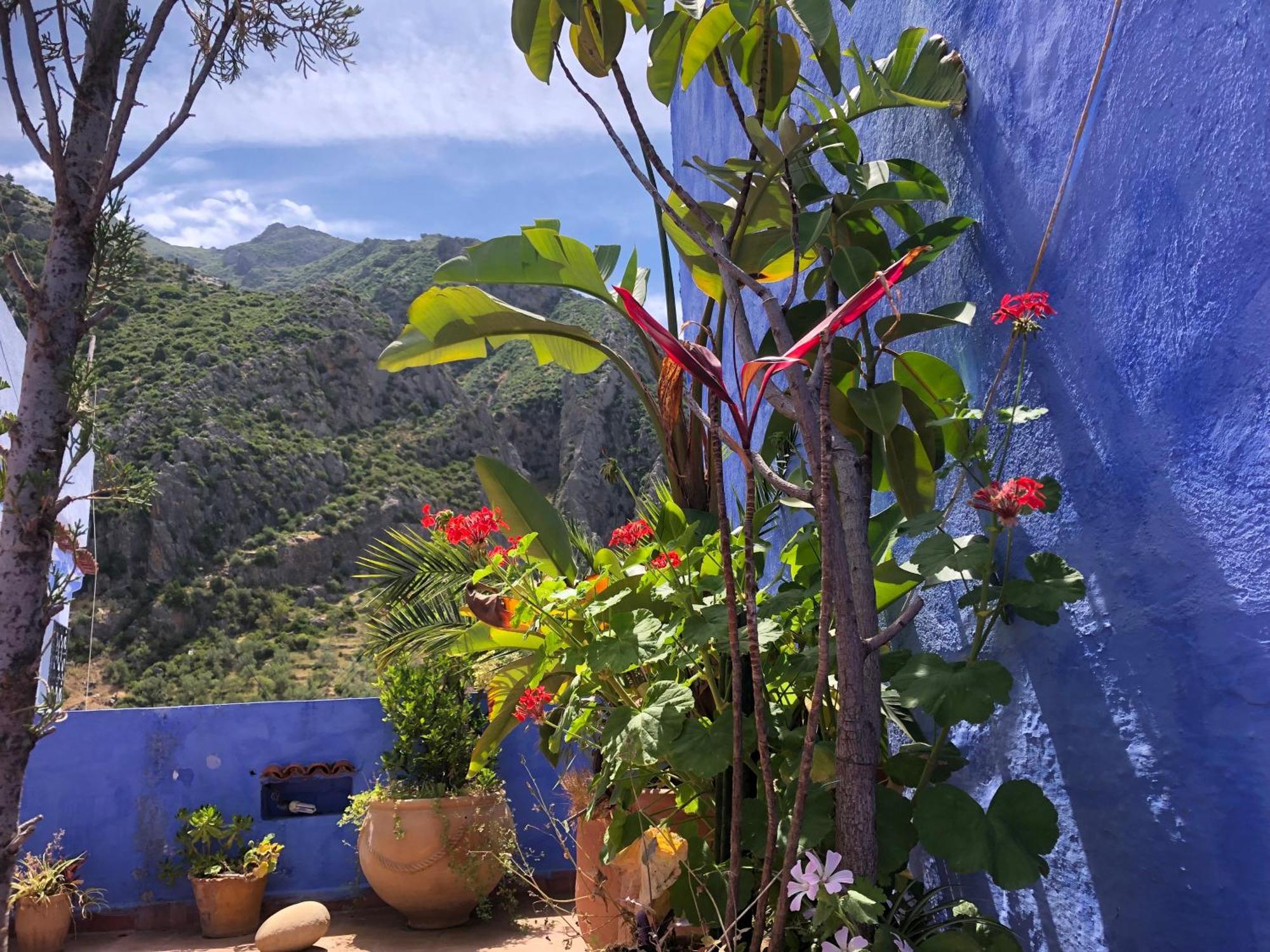 Dar Onsar Bed & Breakfast Chefchaouen Eksteriør bilde
